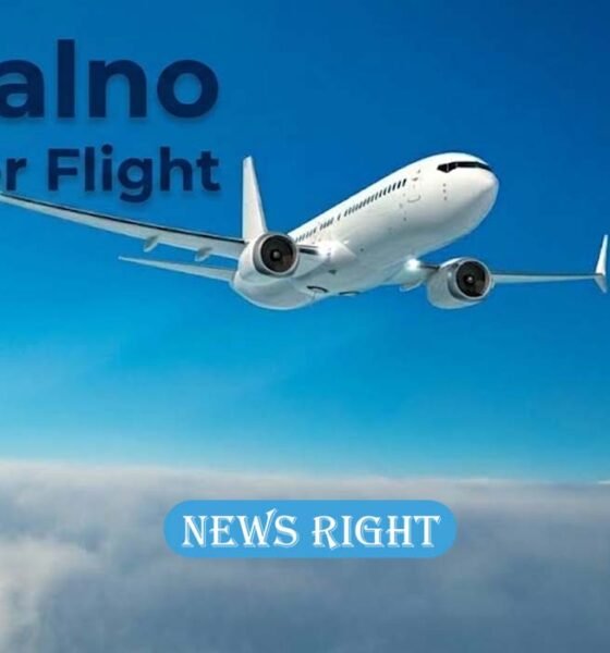 Zopalno Number Flight