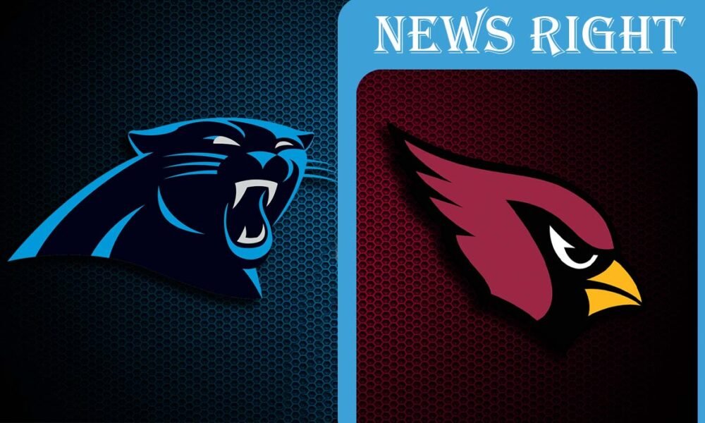 Carolina Panthers vs Arizona Cardinals Match Player Stats