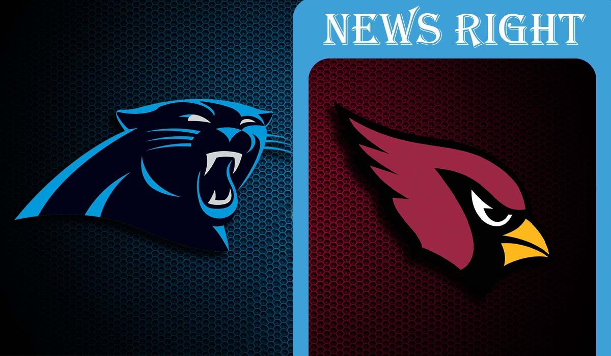 Carolina Panthers vs Arizona Cardinals Match Player Stats